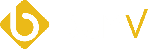 BiBlog